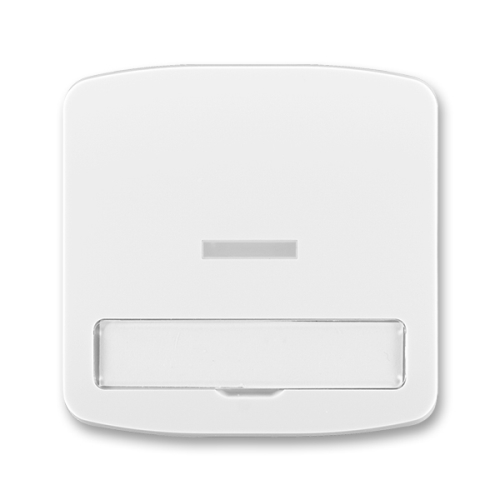 ABB TANGO switch cover simple description. field window; white