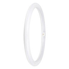 LEDVANCE LED tube SubstiTUBE VAL EM circle. 24W/40W G10q 2900lm/840 30Y