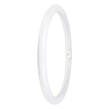 LEDVANCE LED tube SubstiTUBE VAL EM circle. 24W/40W G10q 2900lm/865 30Y