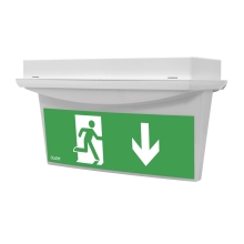 MODUS emergency lighting LED TIGER-DS 1x1W SA/SE/1h. IP22 built-in ;