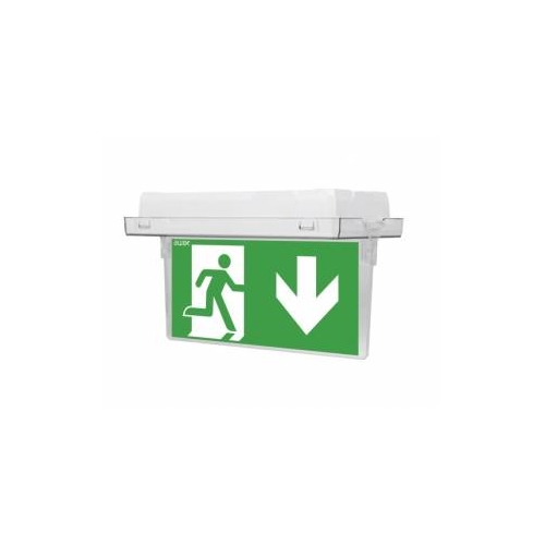 OMS bright emergency light EM2841 8W 3 hours IP65 incl. pictograms