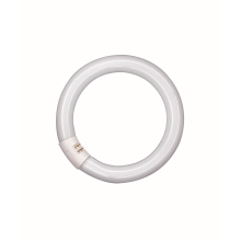 OSRAM fluorescent circular LUMILUX L22/865 C (21) G10q