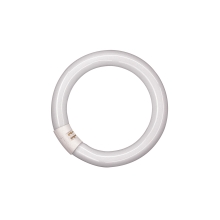 OSRAM fluorescent circular LUMILUX L32/840 C (21) G10q