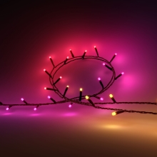 PHILIPS HUE-WA chain Hue Festavia string lights 250LEDs EU