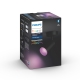 PHILIPS HUE-WA light fixture LED Fugato 1x5.7W GU10 350lm/820-65/WCA IP20; black