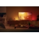 PHILIPS HUE-WA linear light LED WCA Play 6.6W 530lm 2000-6500K/RGB; black