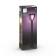 PHILIPS HUE-WCA light column LED Econic 15W 1150lm/RGBW IP44; black 24V